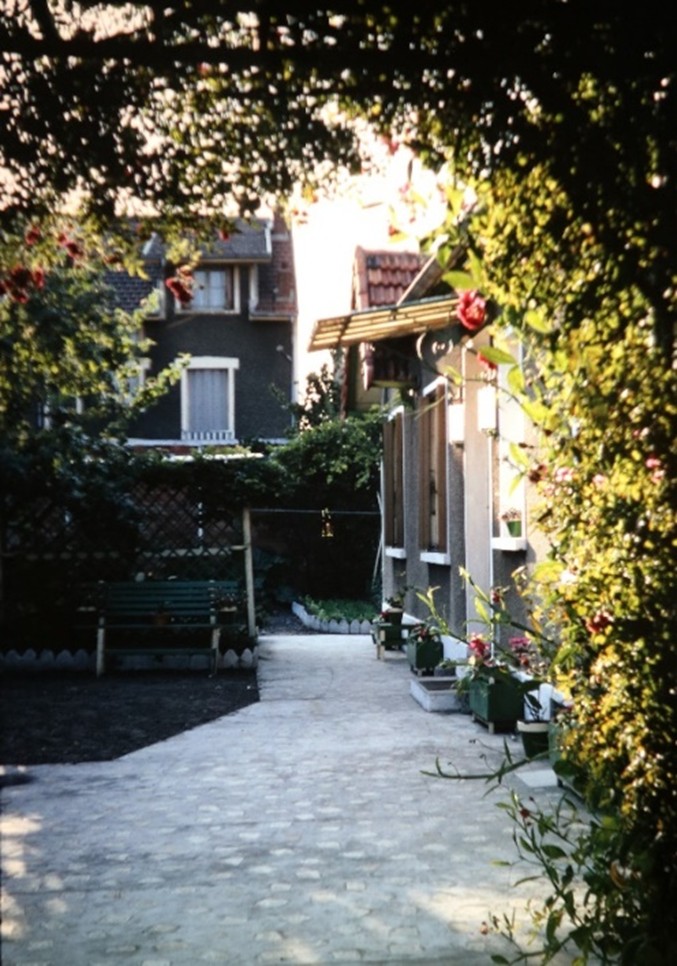 jardin 1