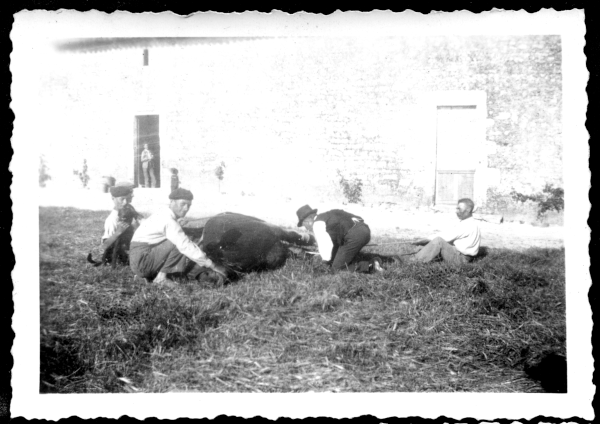 eugne  ribandon