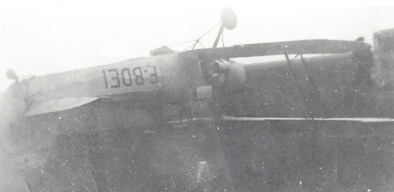avion Ribandon