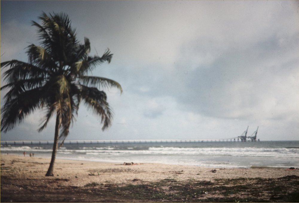 bouton pointe noire