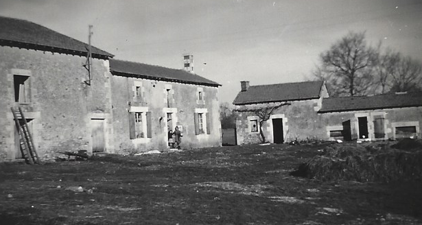 bouton Ribandon