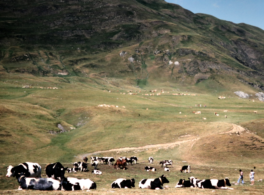 Les_Pyrenees