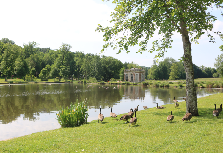 pavillon  Dampierre