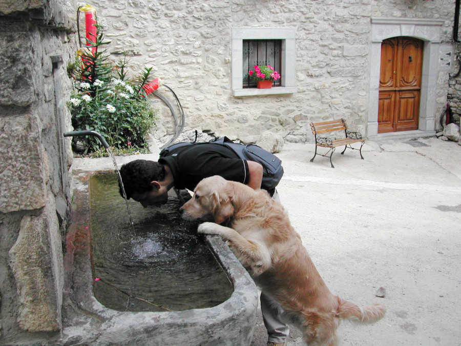 Tel maitre tel chien