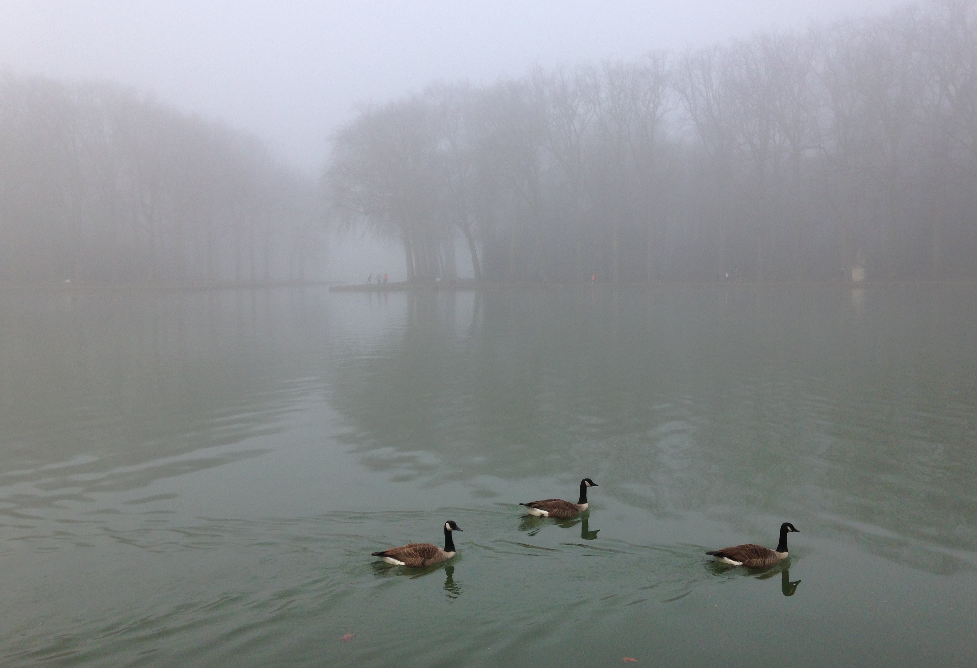 brume canal de Sceaux