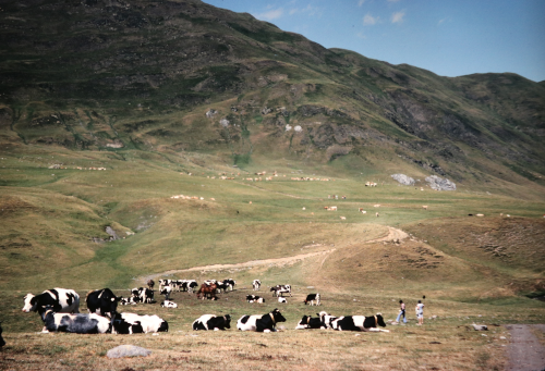 panorama