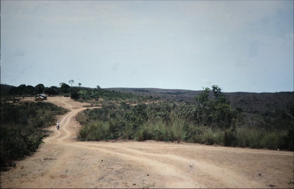 1bzv 55