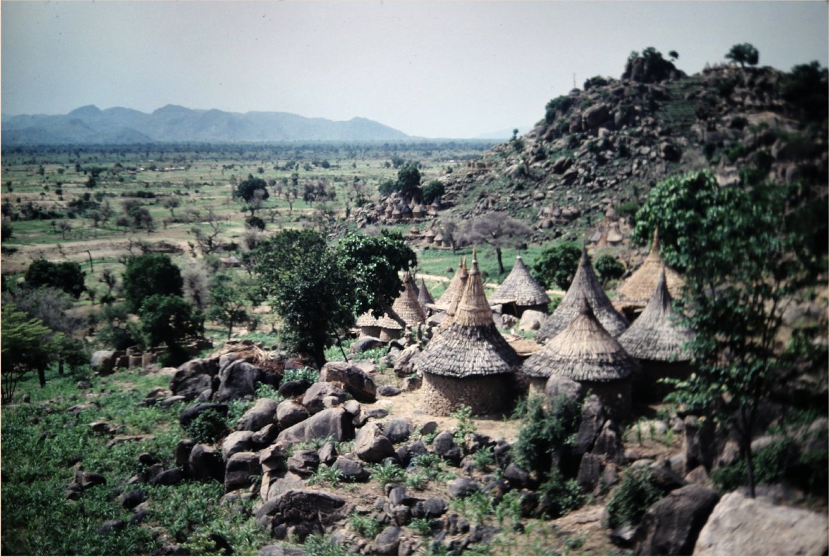 cases Cameroun