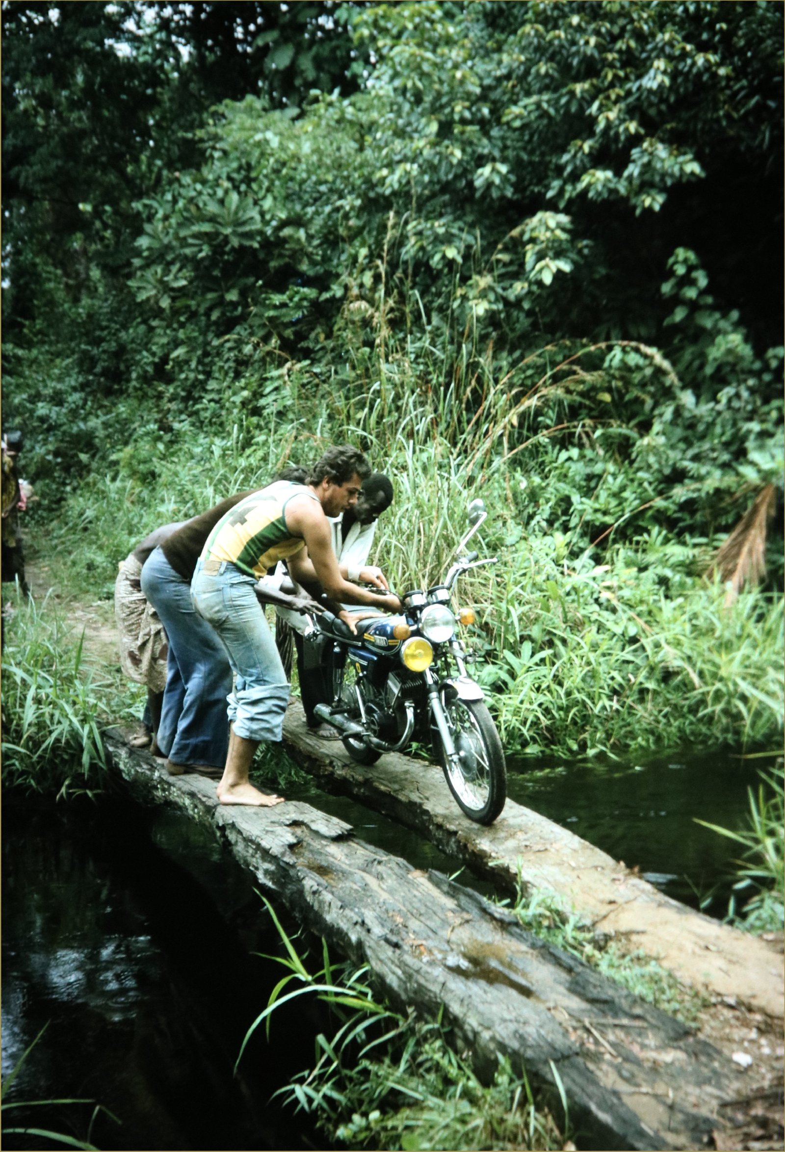 moto sur rondins